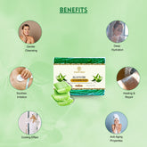 Vagad’s Khadi Aloe Vera Soap – Herbal Gentle Cleanser for Face & Body | Hydrating & Soothing Bar Soap for All Skin Types | Paraben-Free, Sulphate-Free, Cruelty-Free - 125gm (Pack of 3)